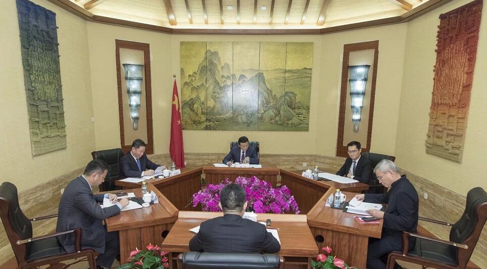 海南省政府企业家咨询会议在三亚成立 马云任主席