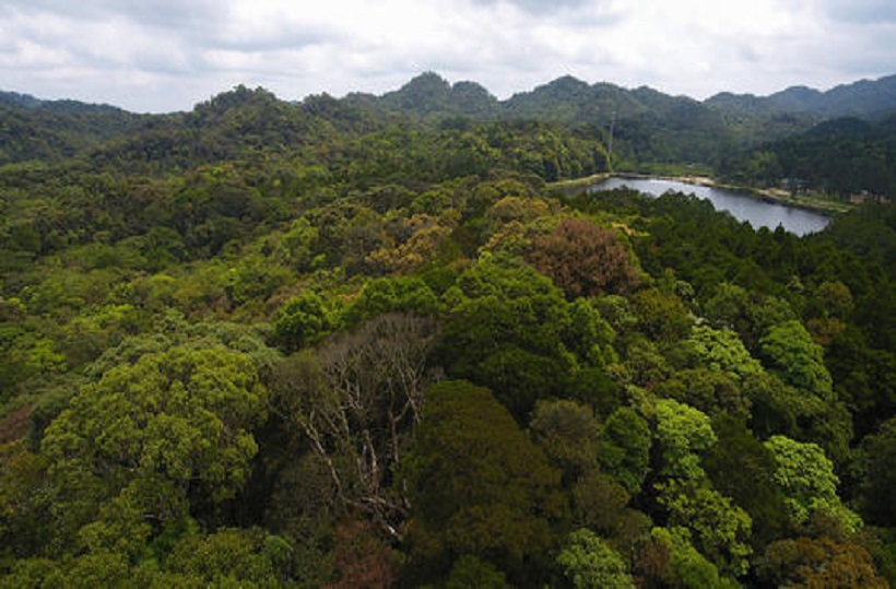 4400余平方公里 海南热带雨林国家公园规划重磅公示