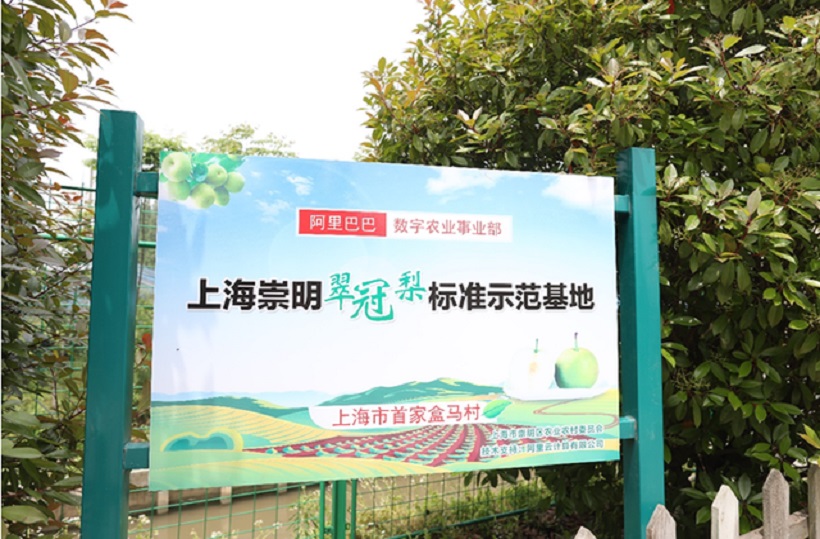 上海首家盒马村正式建成 数字农业新模式辐射周边