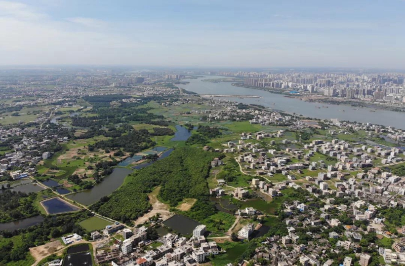 海口江东新区：今年将完成土地收储4000亩